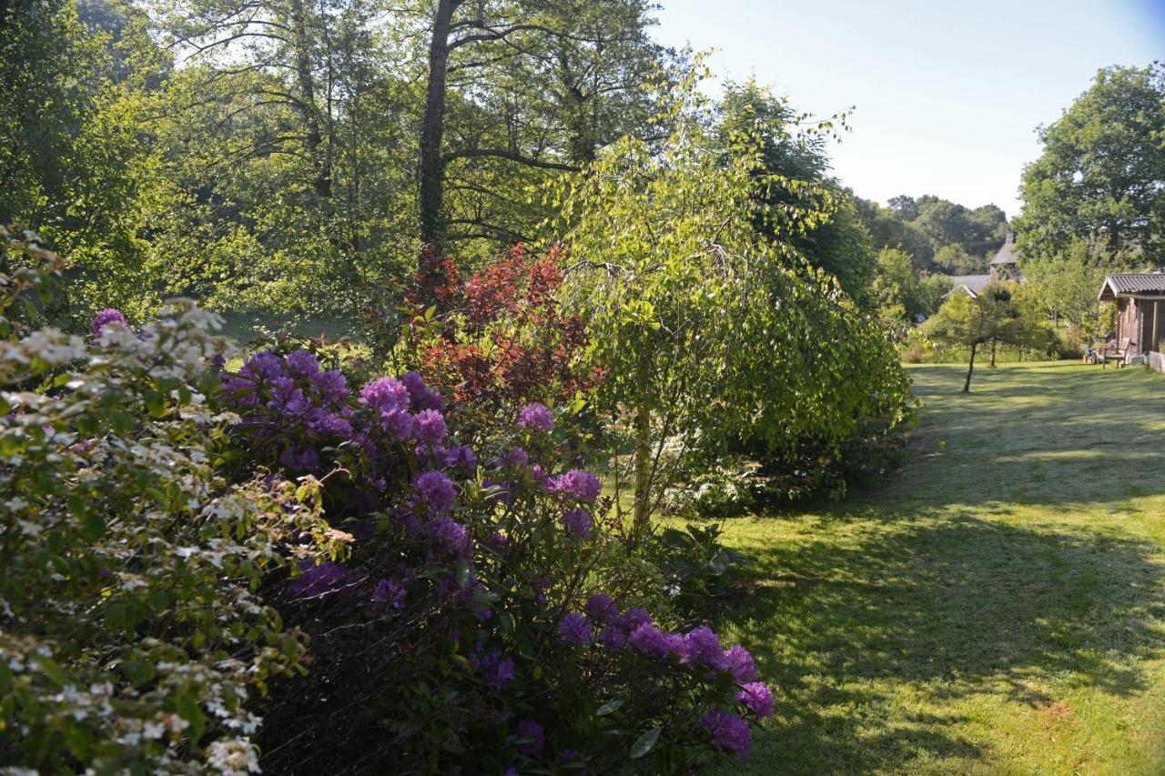 Le Domaine Du Pont Canon Plourivo Exteriör bild